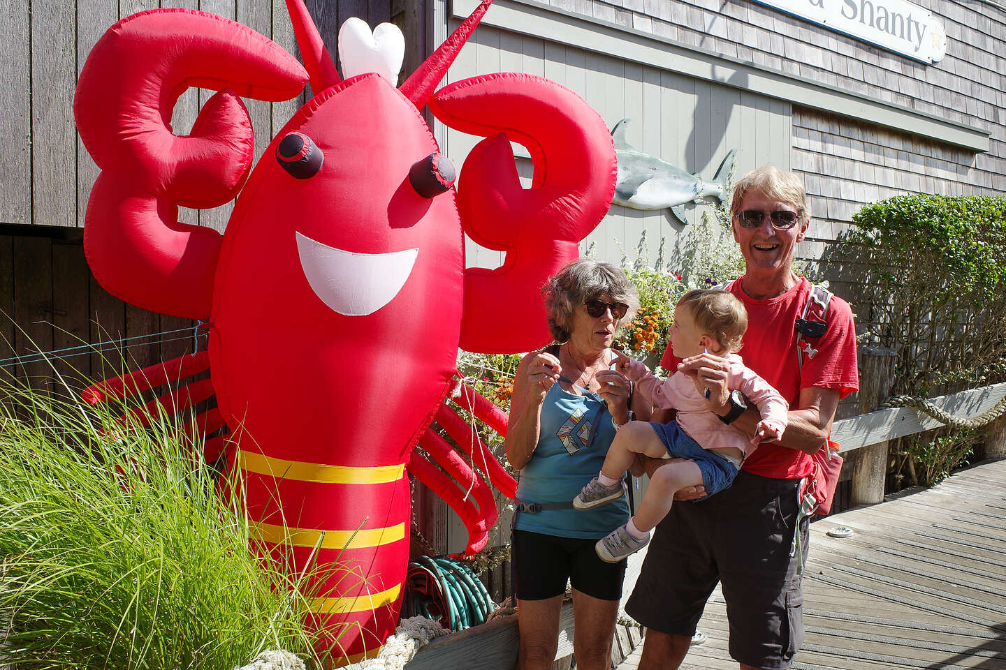 The Sea Shanty Lobster