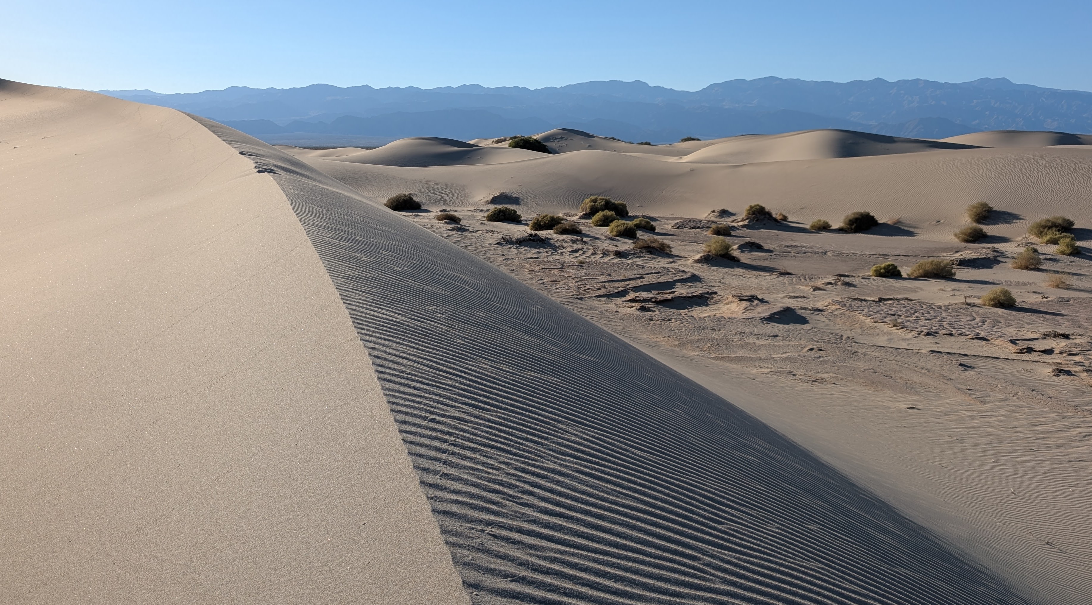Mesquite Dunes