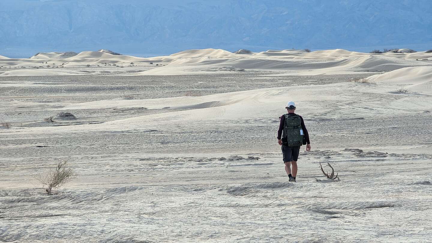 Dune Ho!