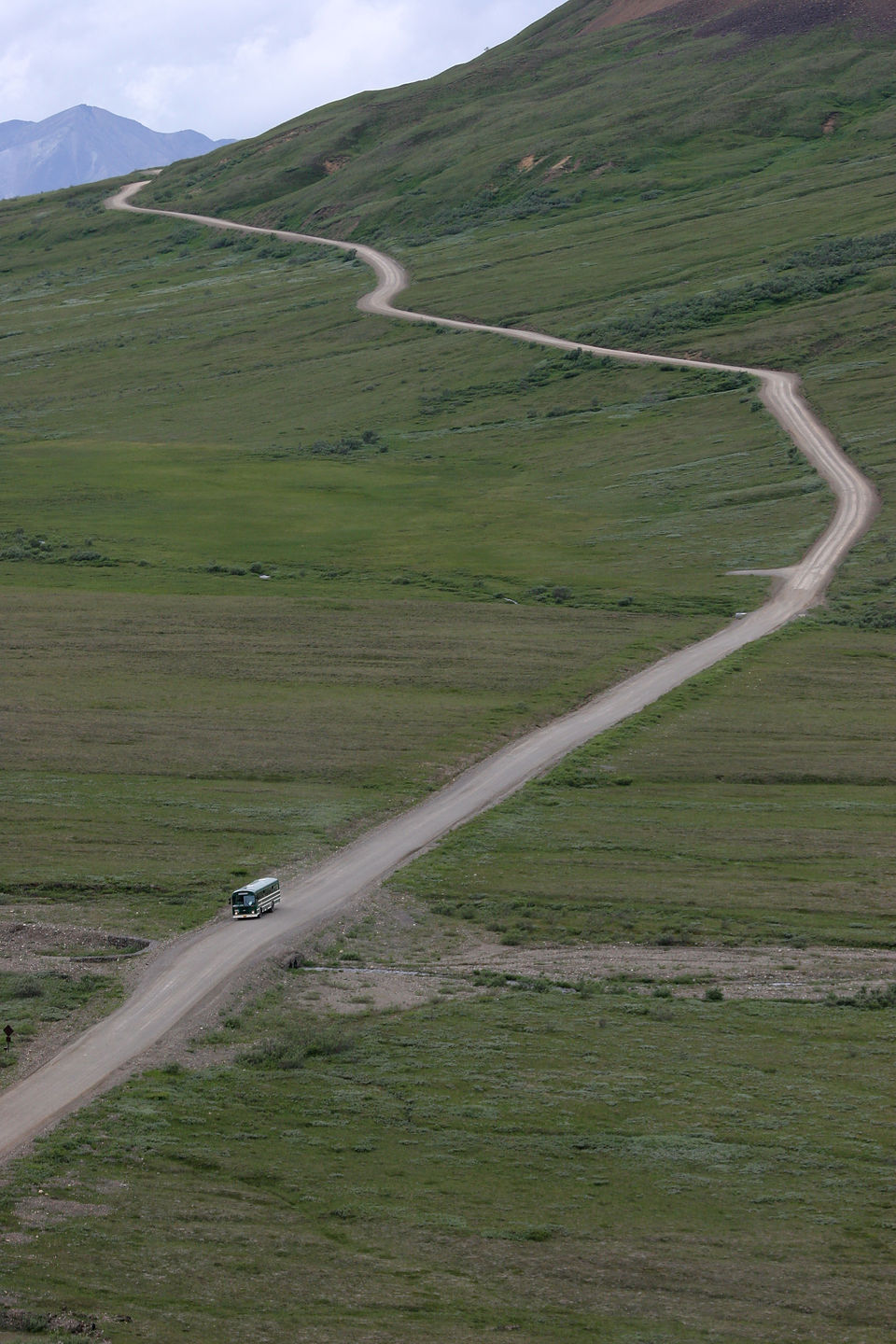 Tour bus in Denali