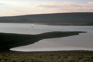 Lone neighbor sailing at dusk on Heron Lake