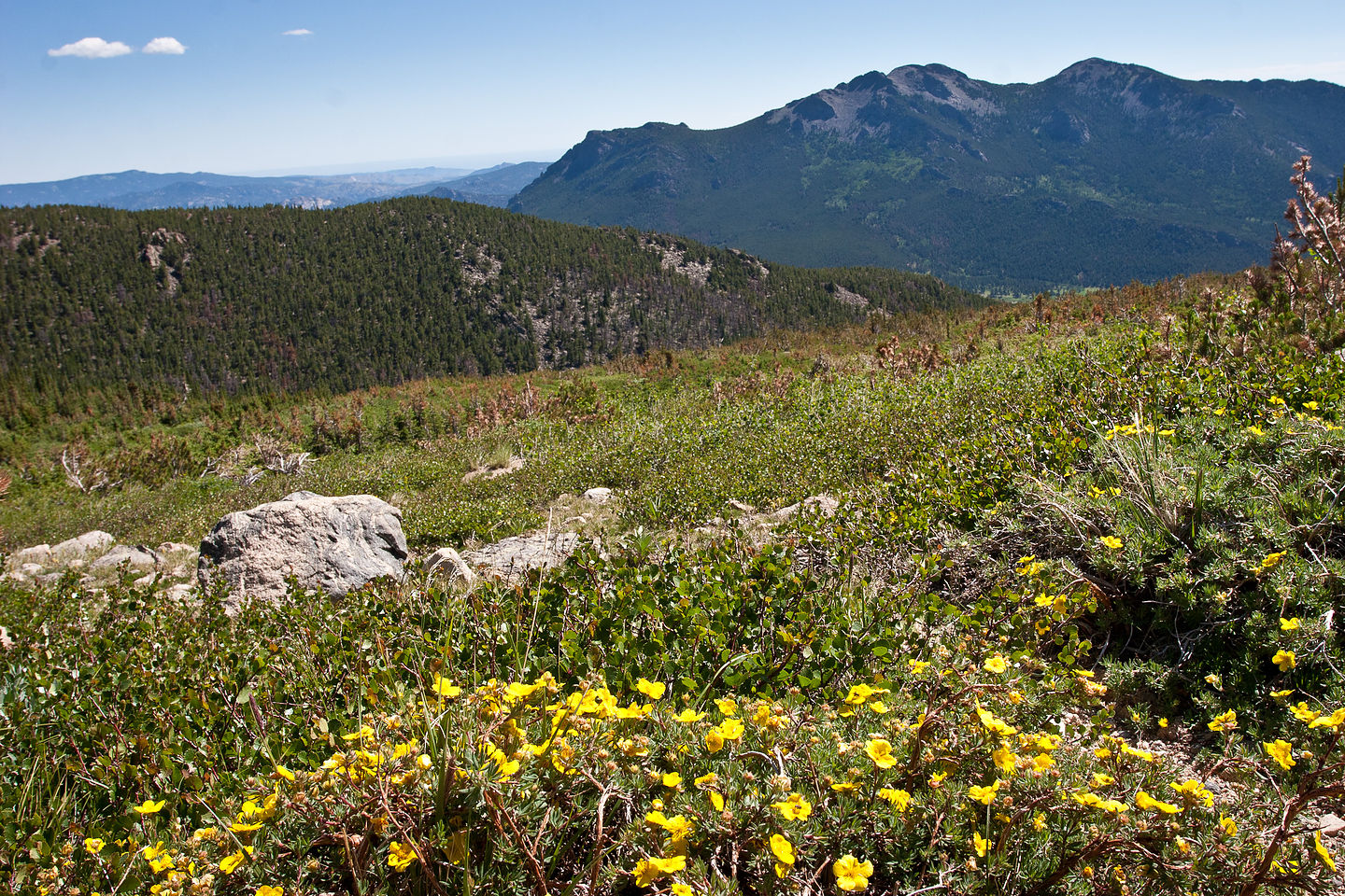 Meadow view on Chasm Lake hike