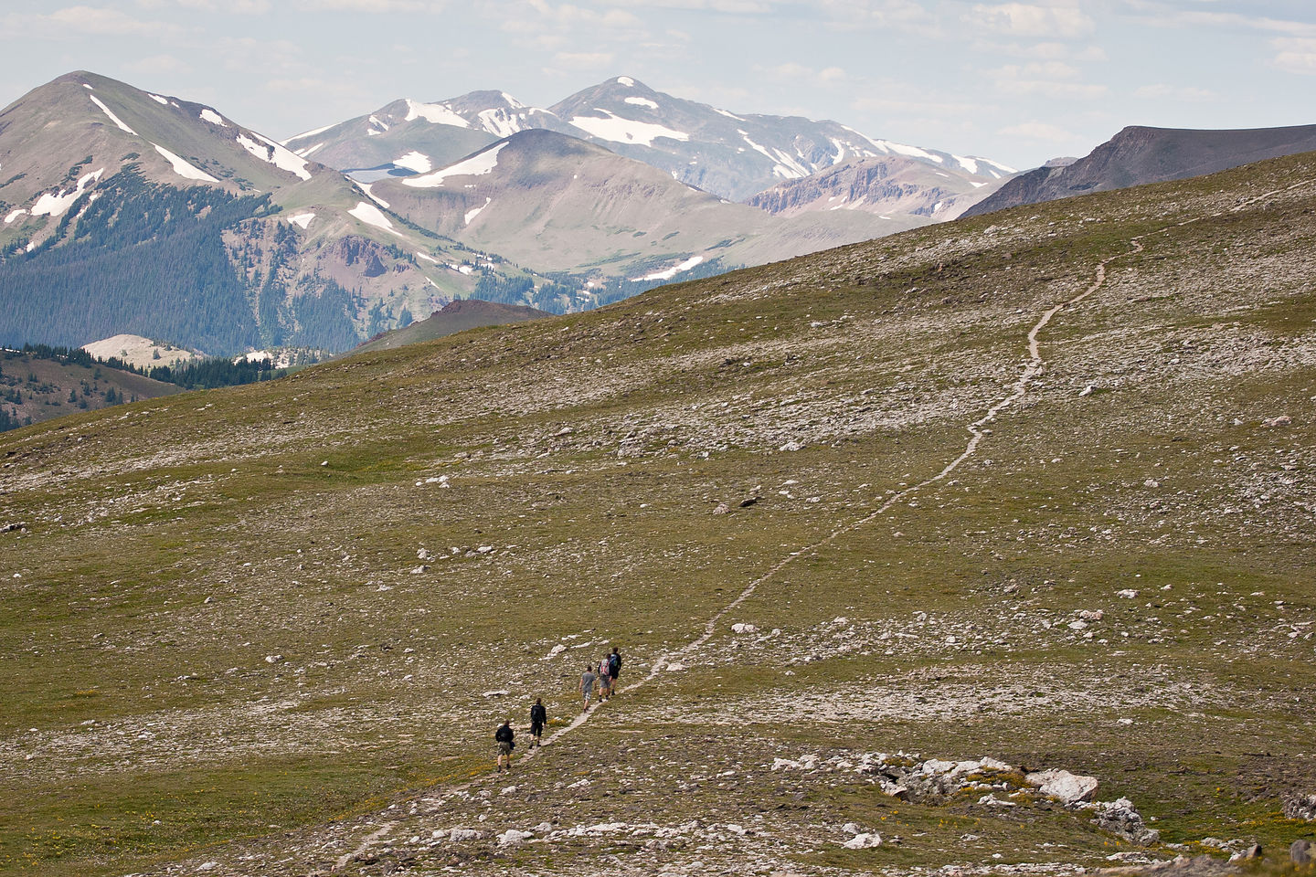 Trail hiking back from Mt. Ida