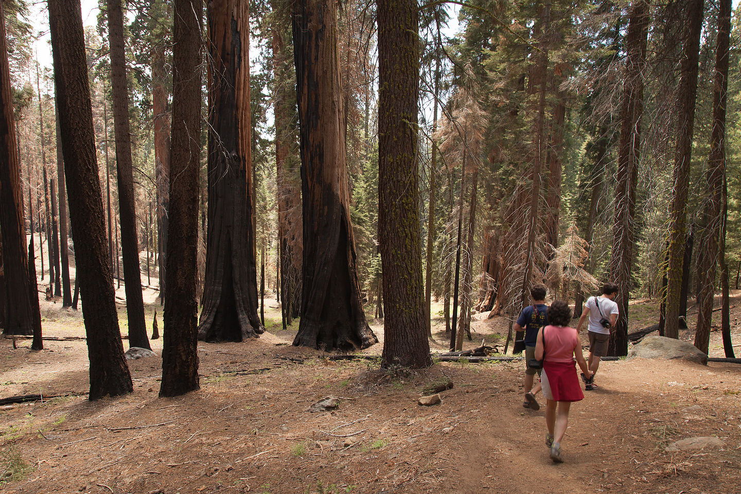 Hiking the Cresent Meadow trail