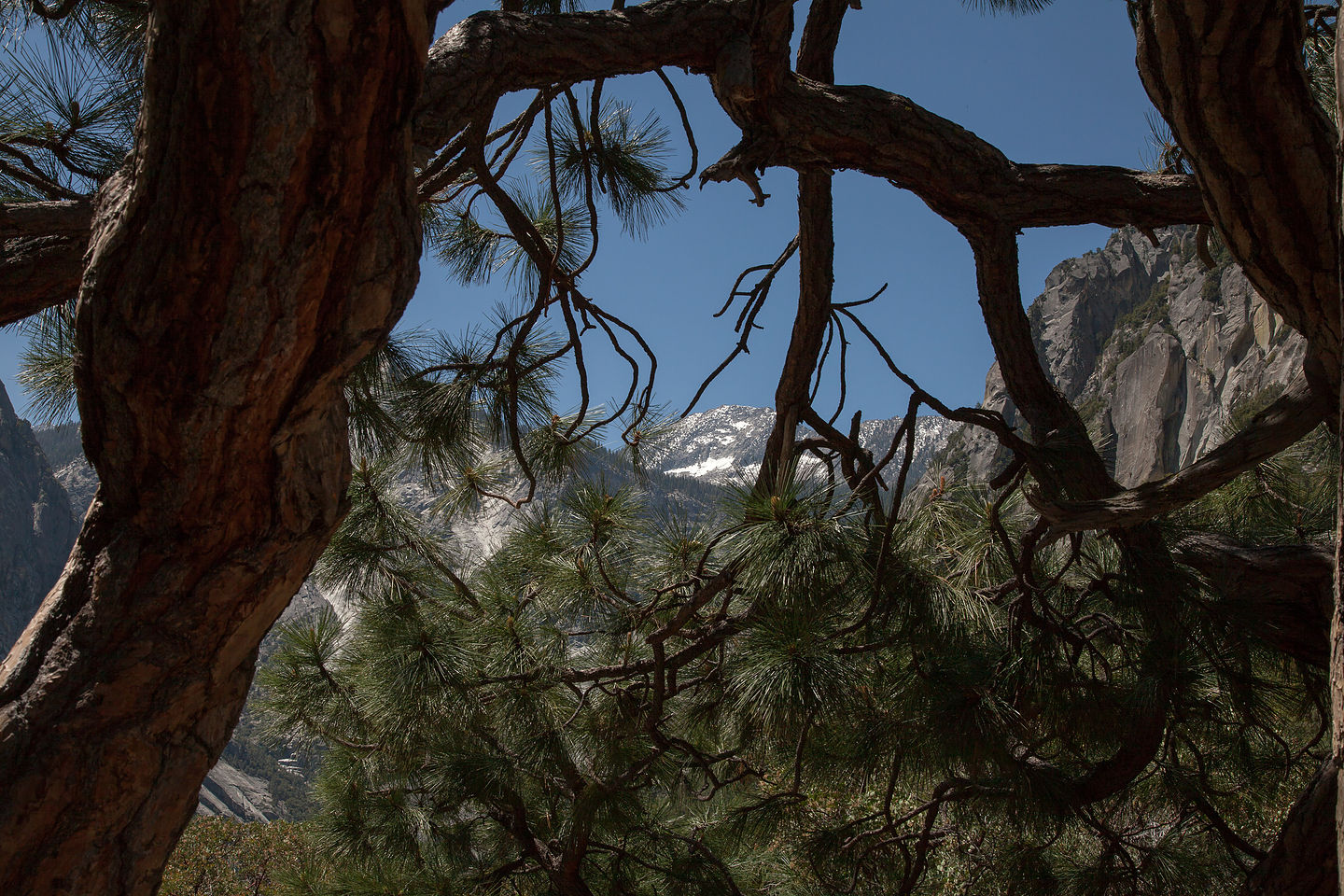 Mist Falls Hike Canyon View