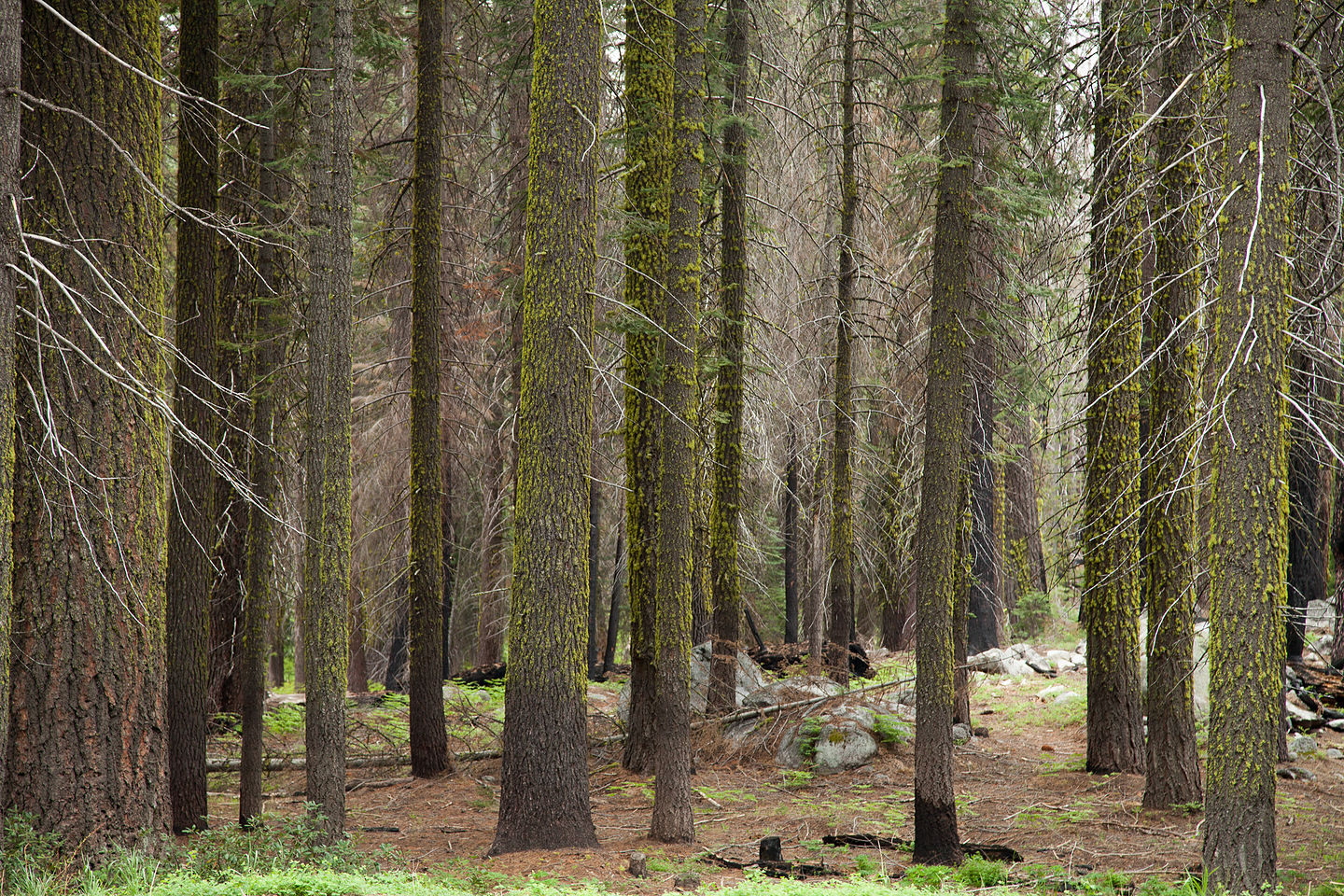 Leaving Yosemite Valley