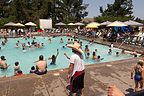 Petaluma KOA Pool