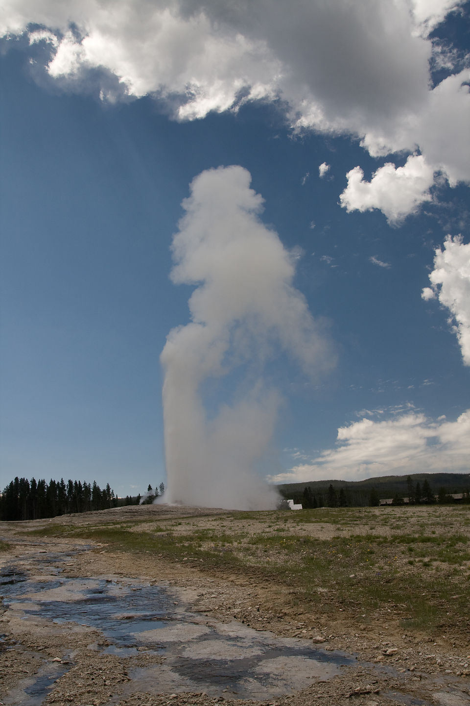 Old Faithful