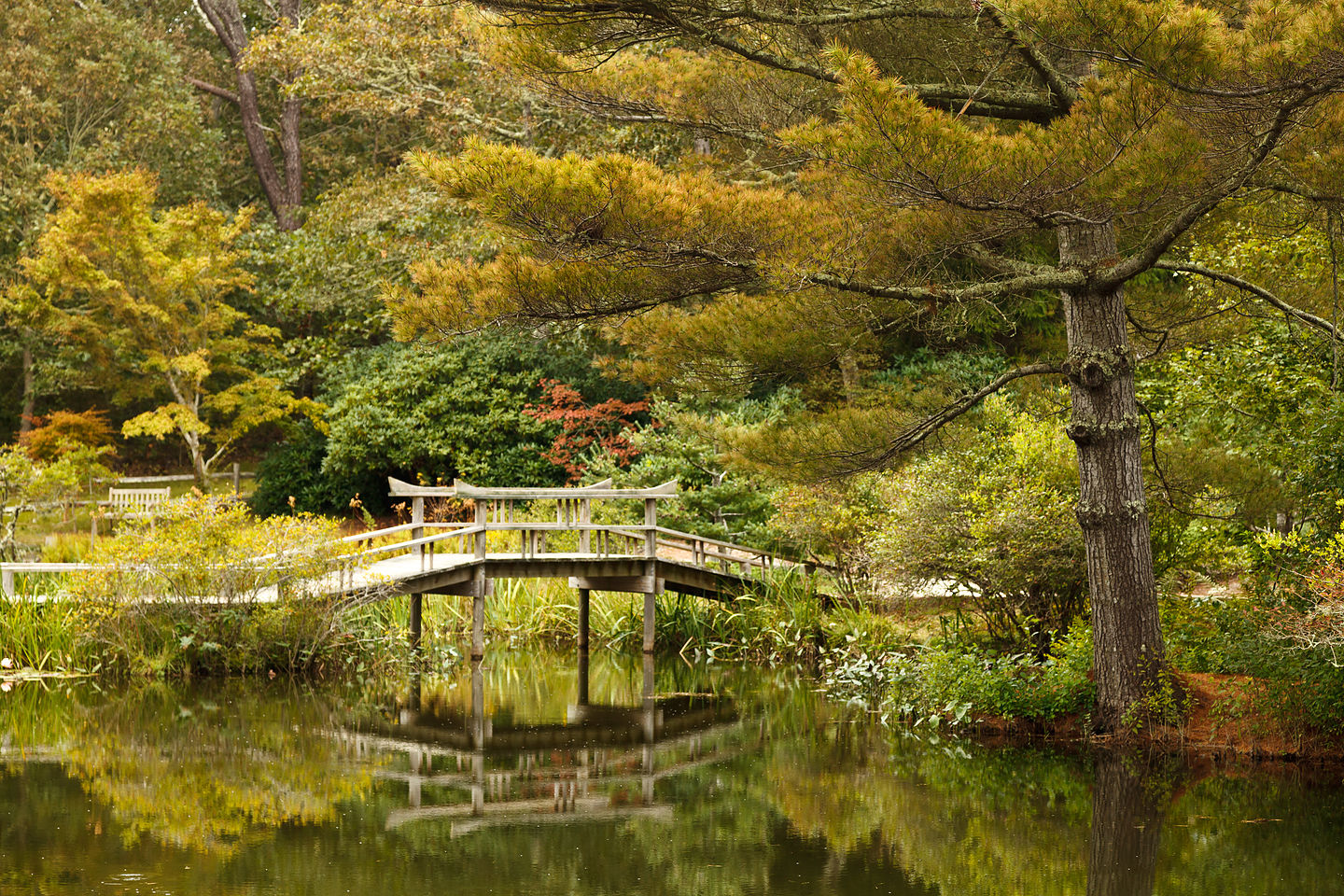 Mytoi Garden Arched Wooden Bridge