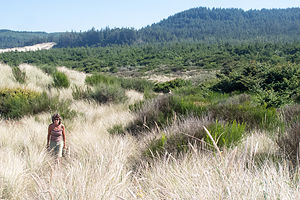 Lolo Hiking the Oregon Dunes National Recreation Area