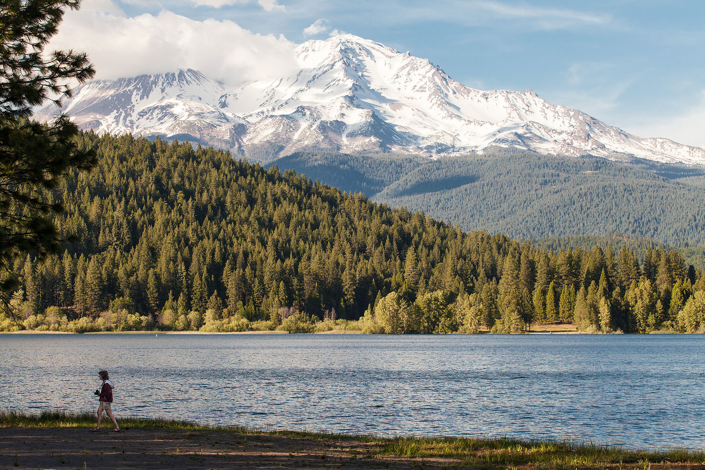 Lolo on Lake Siskiyou Shore with Mount Shasta