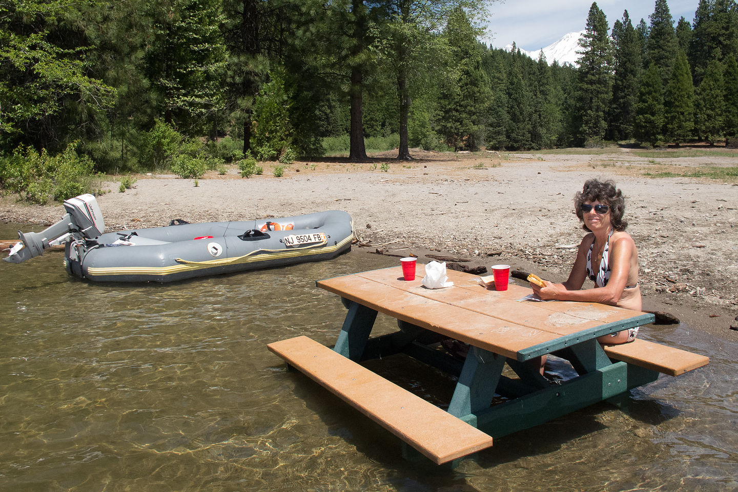 Lolo lunching on submerged Picnic Table