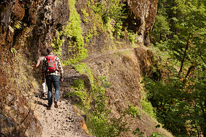 Hiking the Eagle Creek Trail carved into the Cliff