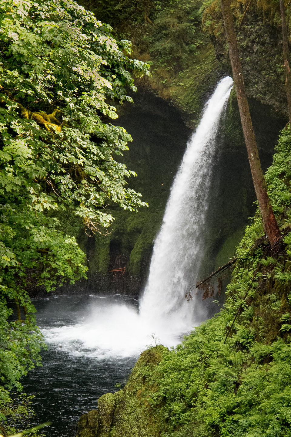 Metlako Falls