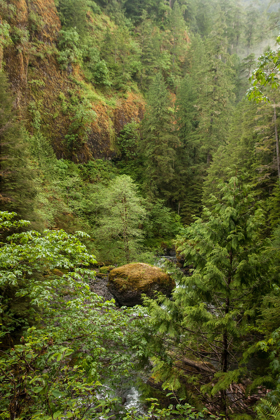 Eagle Creek