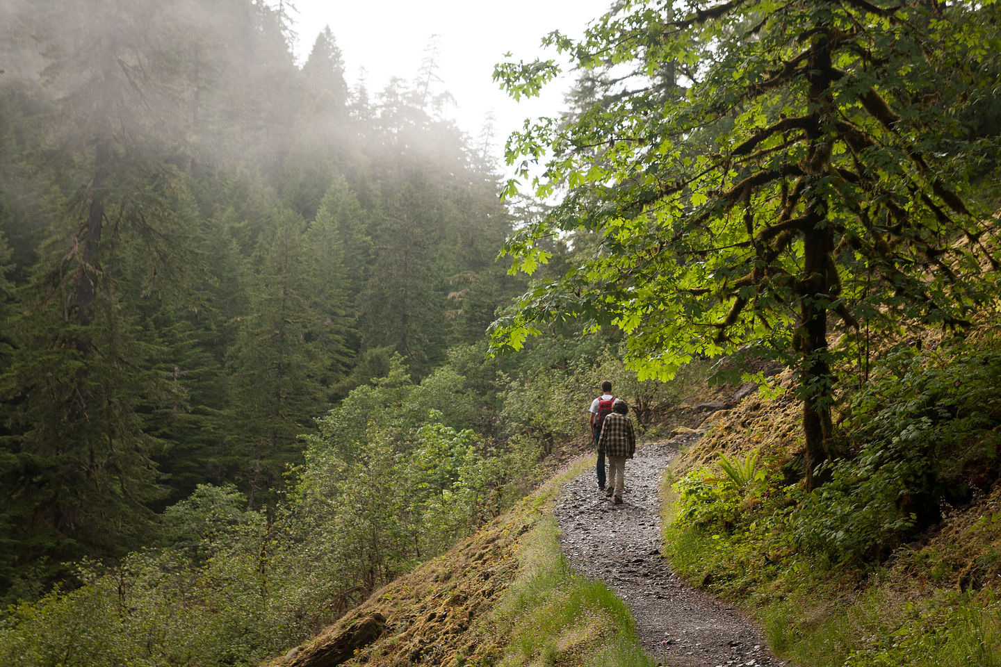 Hiking Eagle Creek Trail