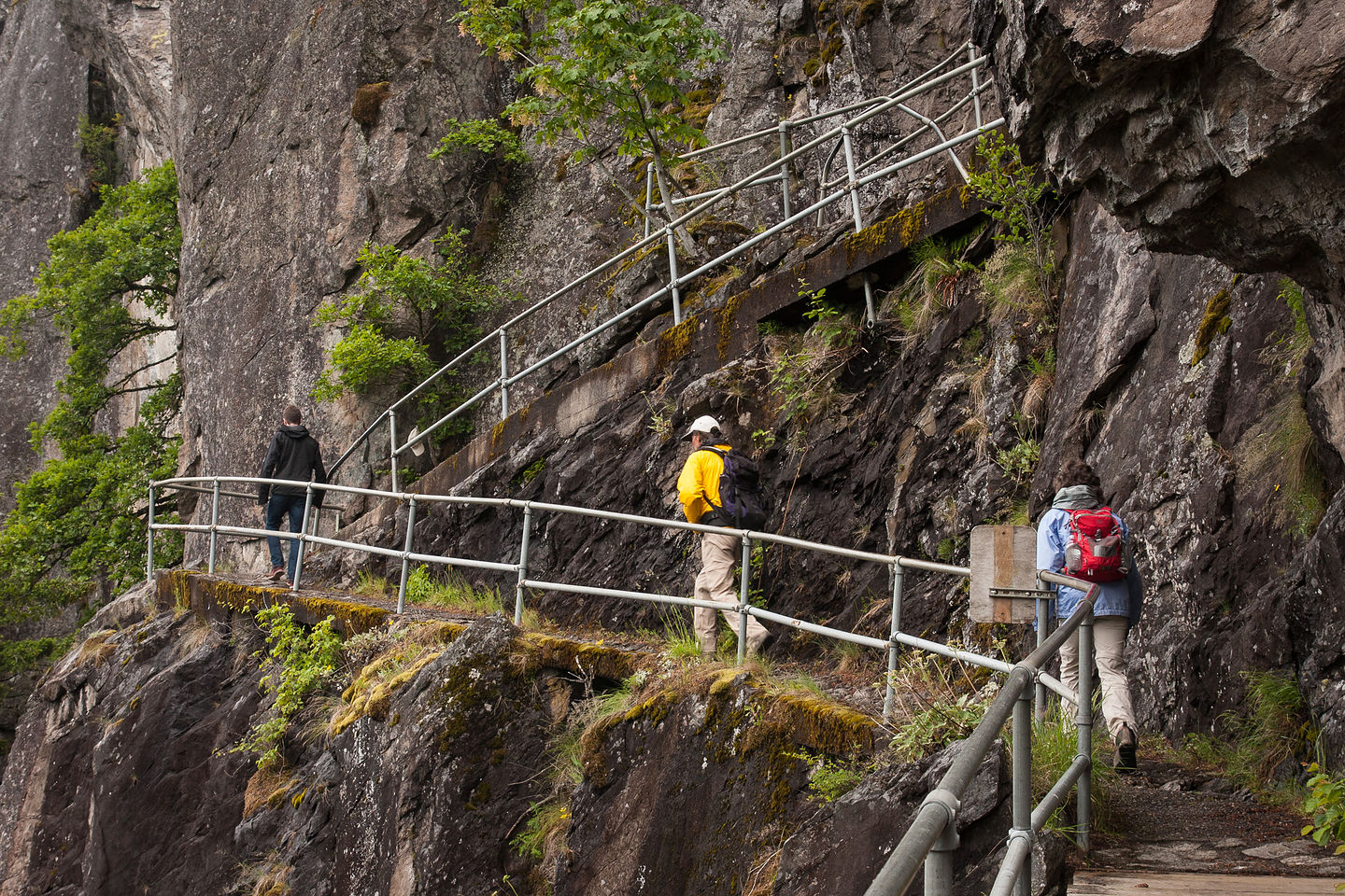 Beacon Rock Hike Switchbacks