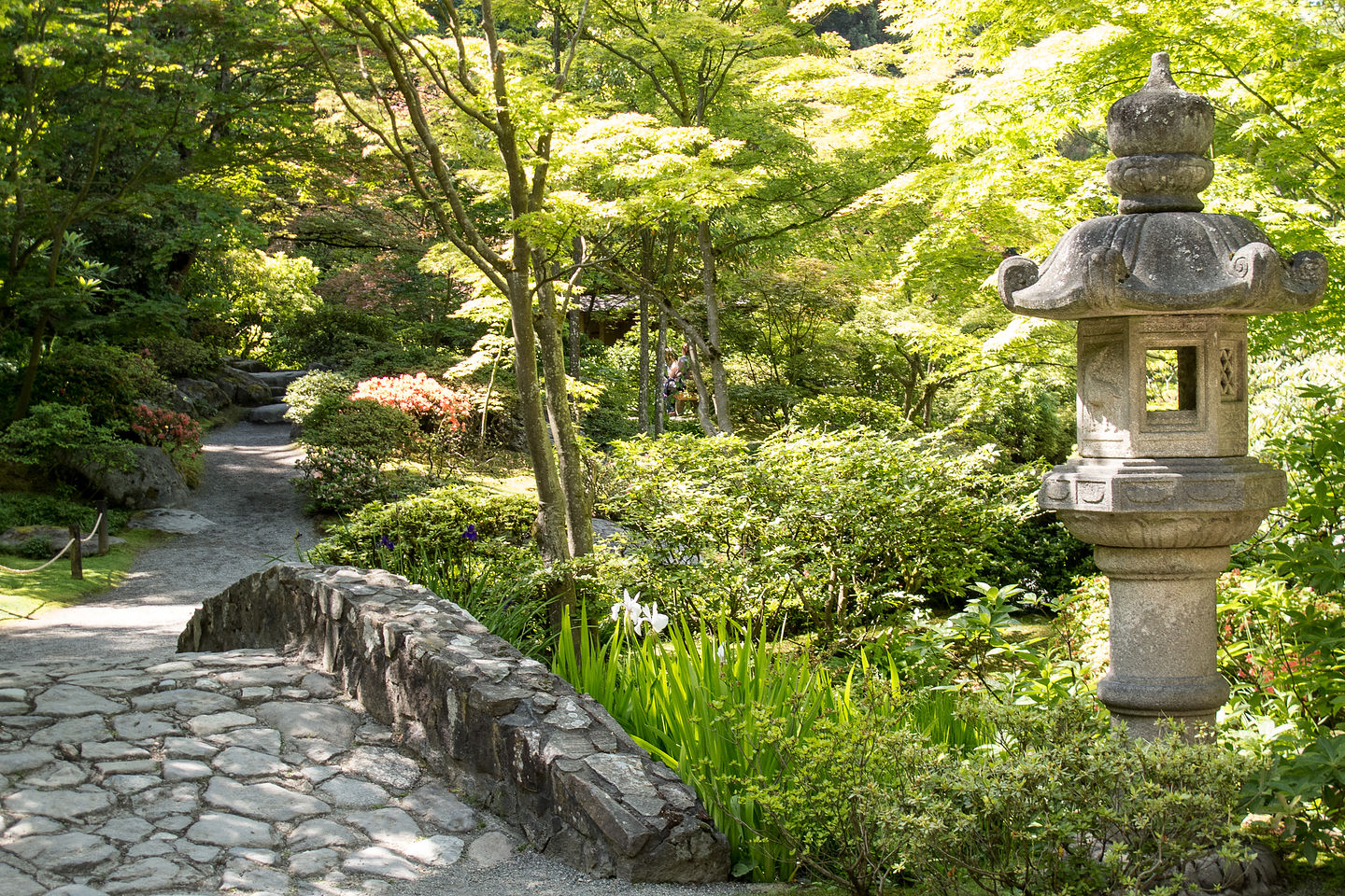 Seattle Japanese Garden