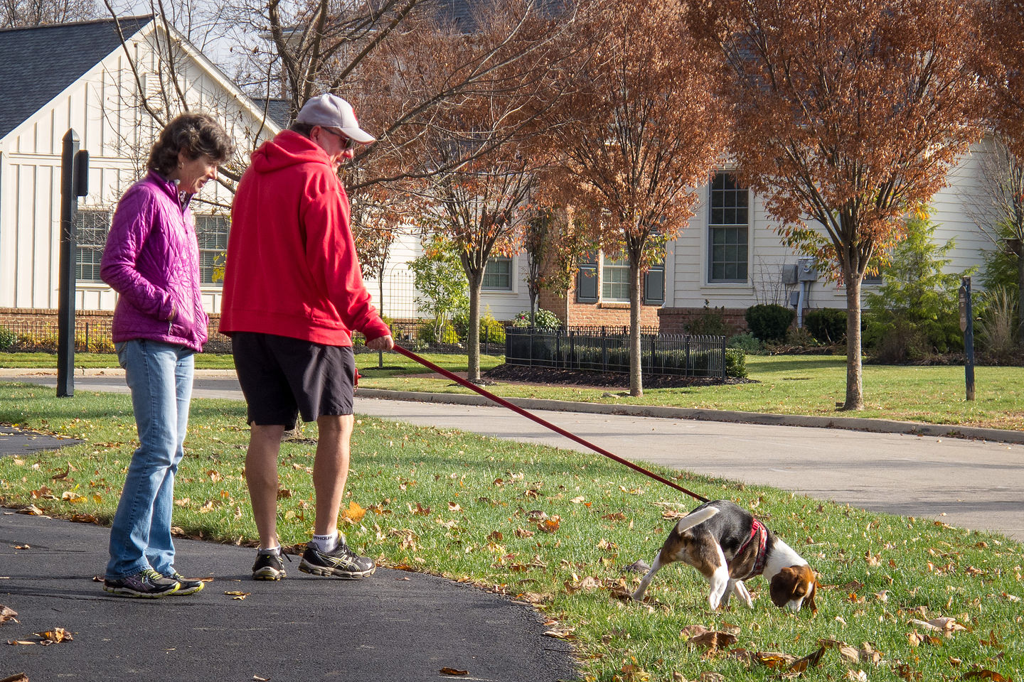 Charlie Walking Jim and Lolo