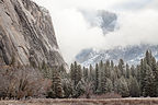 Half Dome Peeking Through