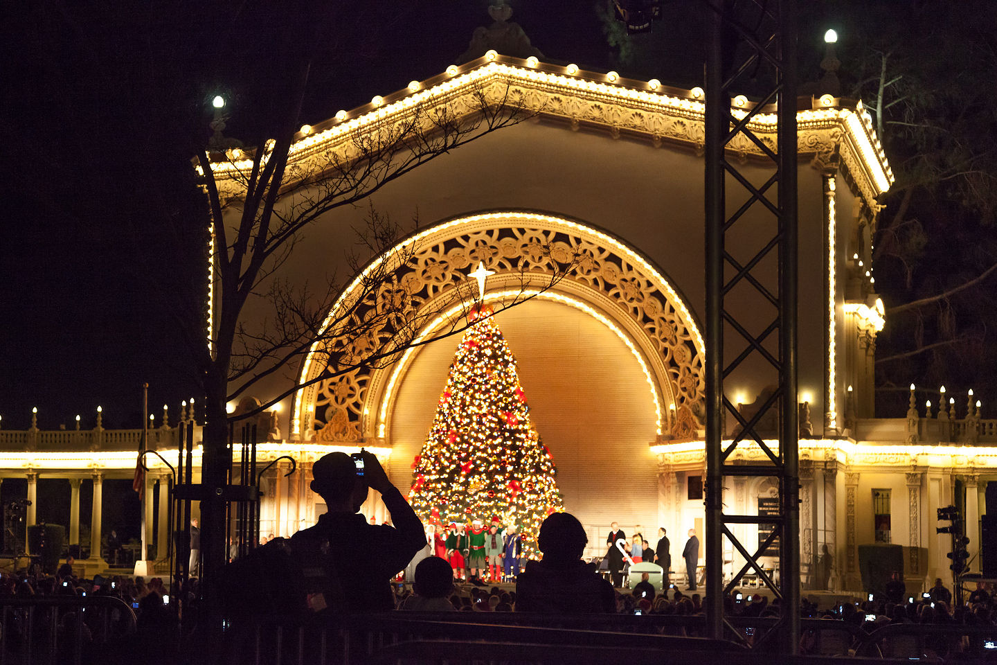 December Nights Tree Lighting