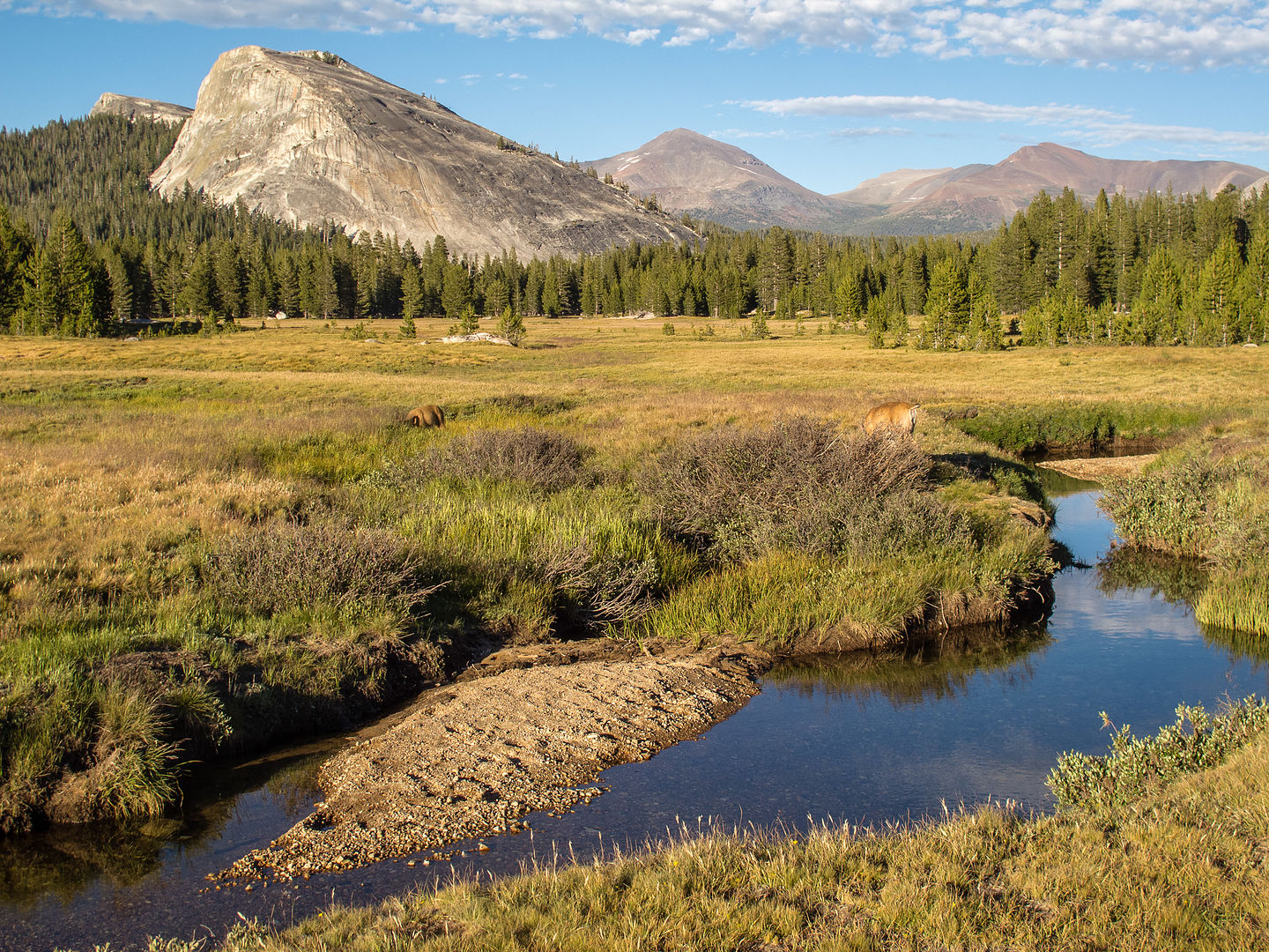 Tuolumne Meadows with Lembert Dome