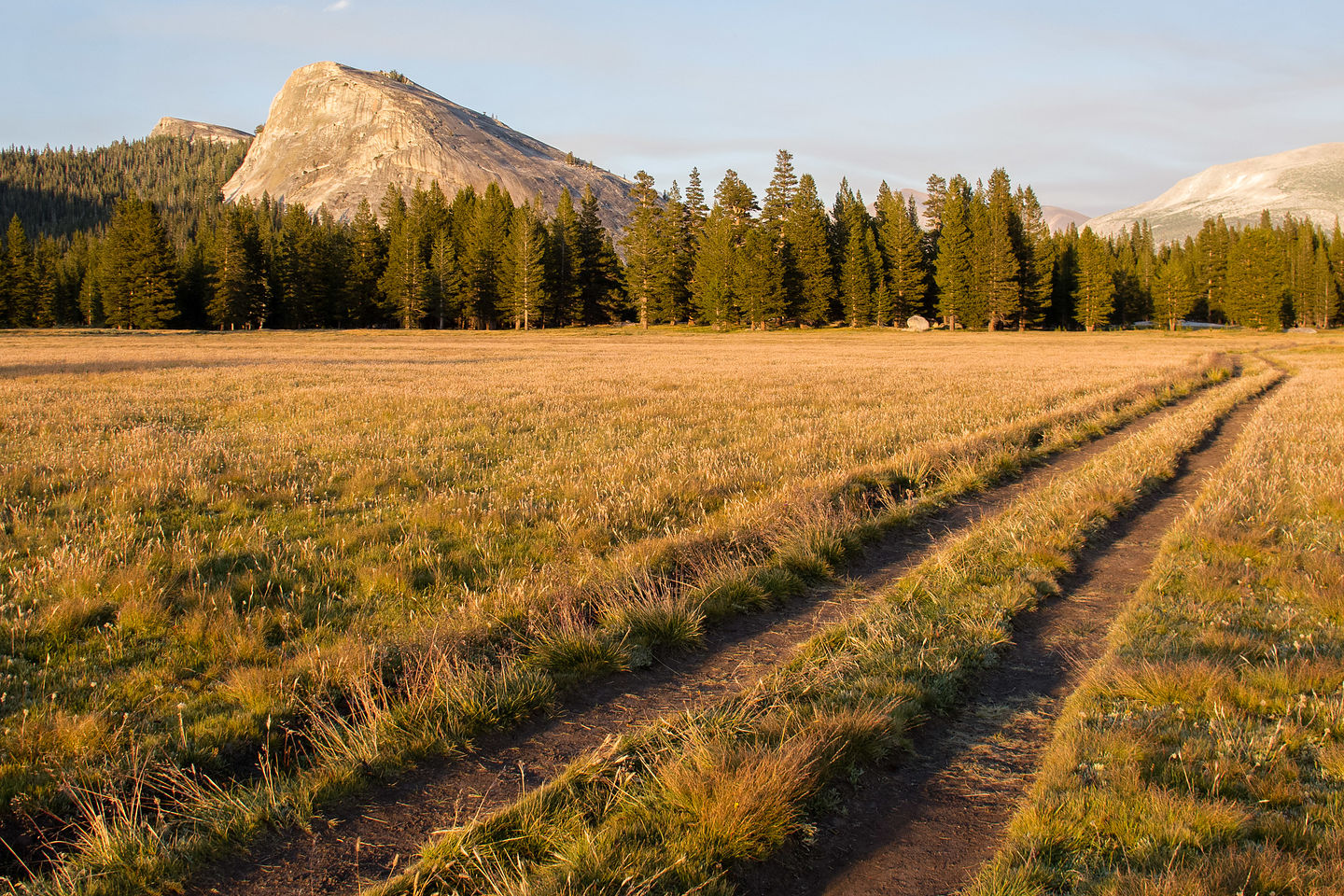 Another evening in Tuolumne Meadow