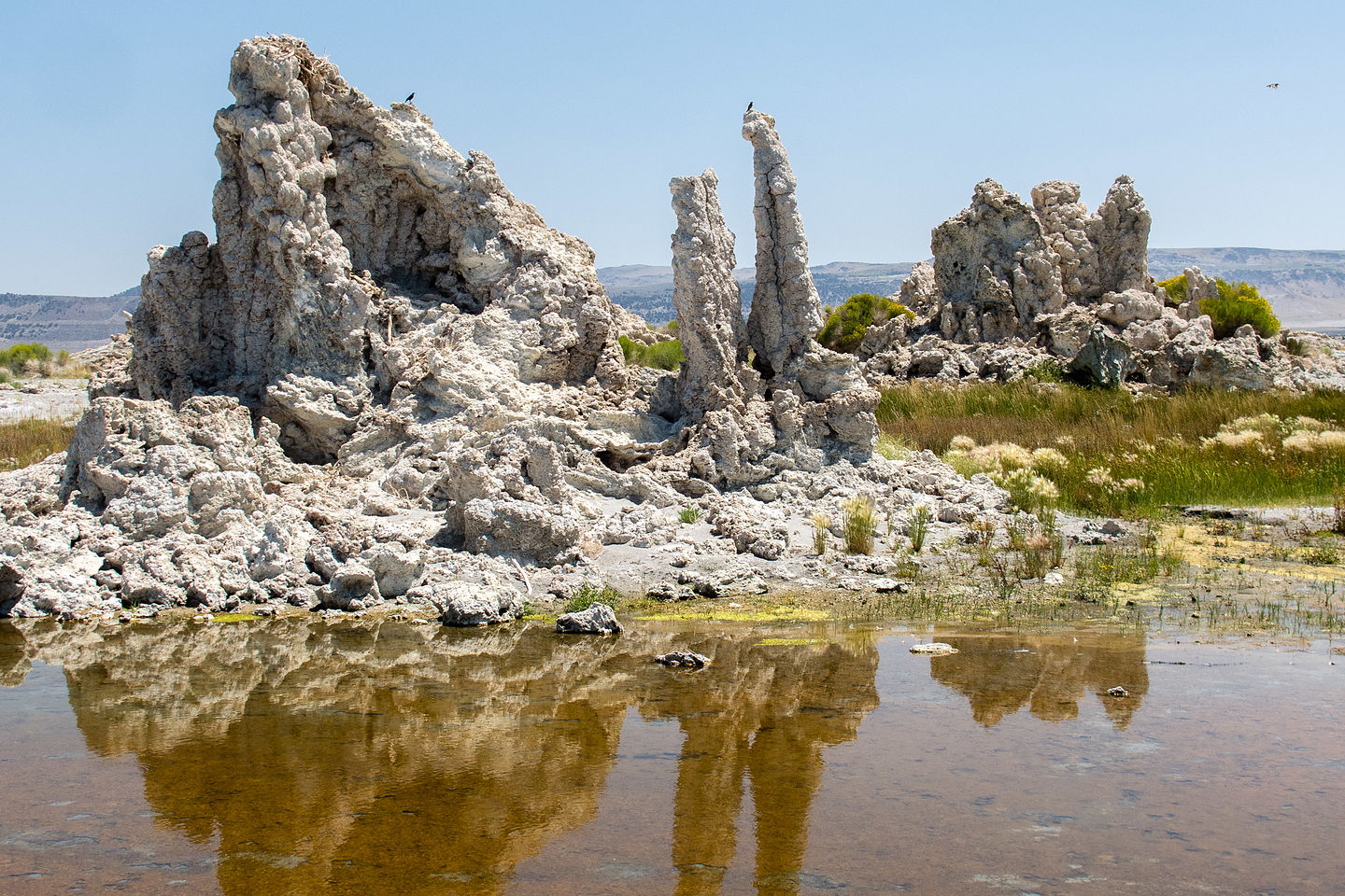 Giraffe tufas