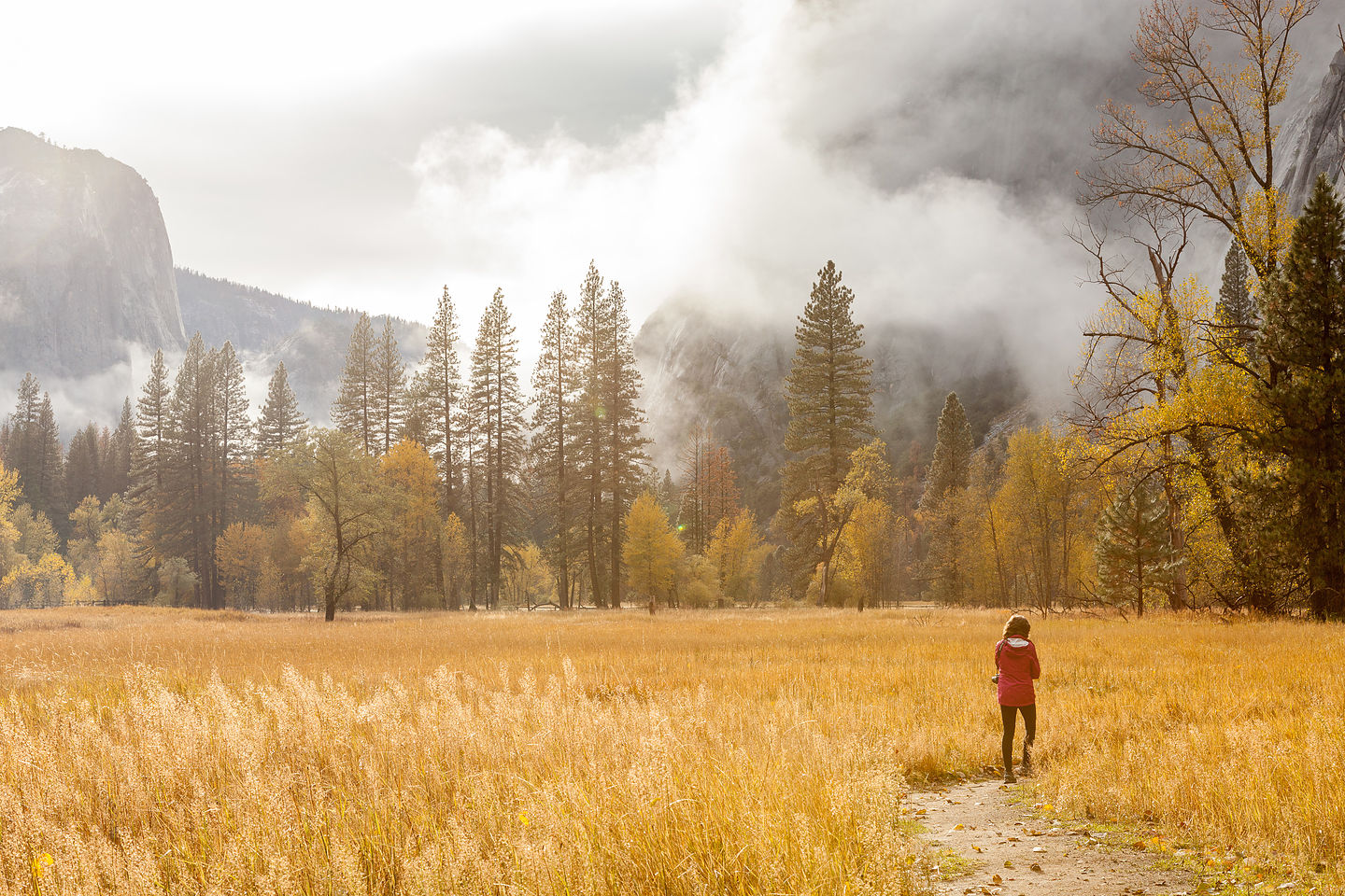 Lolo still wandering around meadow