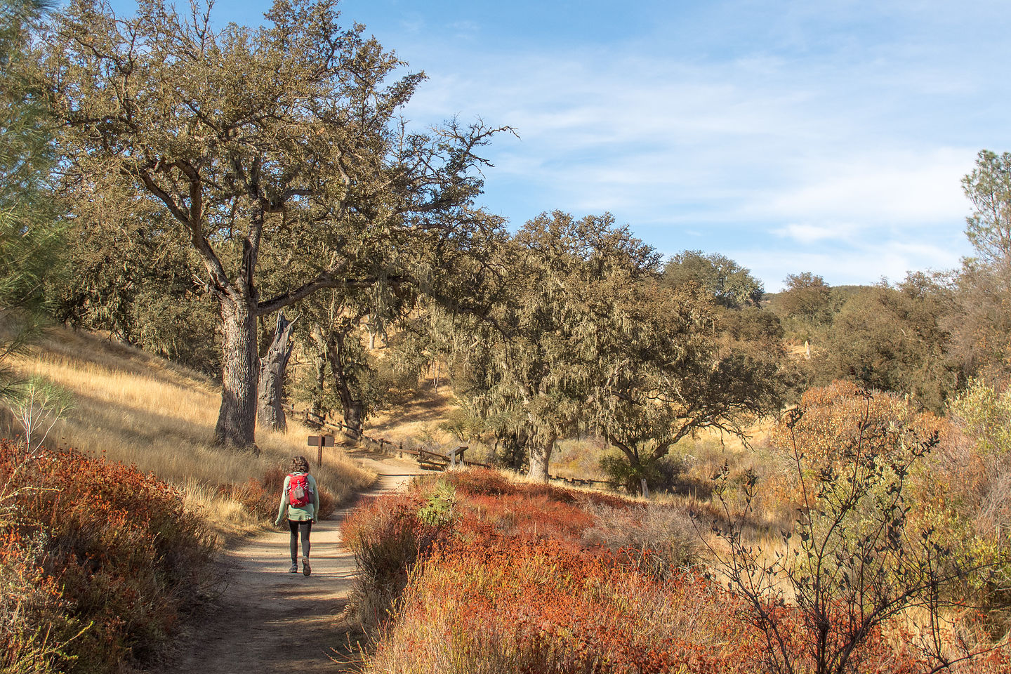 Juniper Canyon Trail