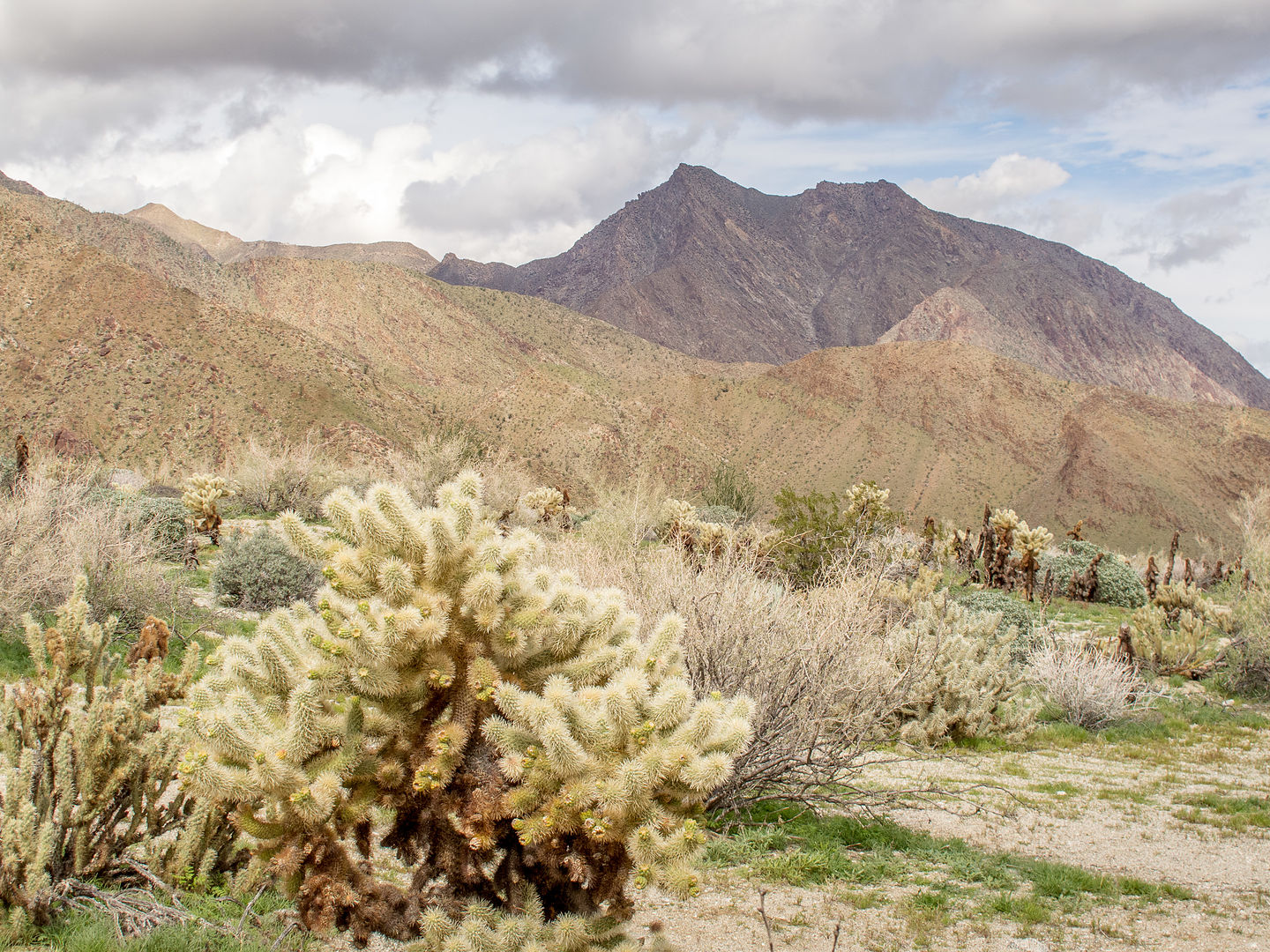 Hellhole Canyon Trail