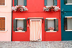 Colorful Burano