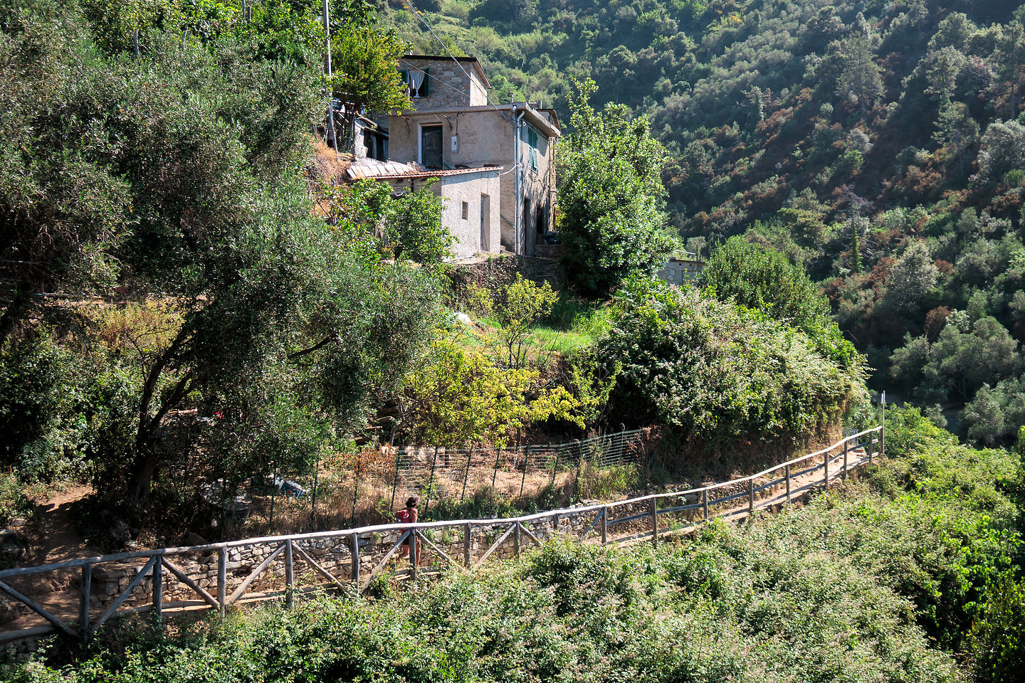 From Monterosso to Vernazza on the Sentiero Azzurro