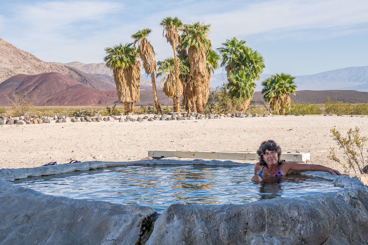 Palm Oasis shady pool