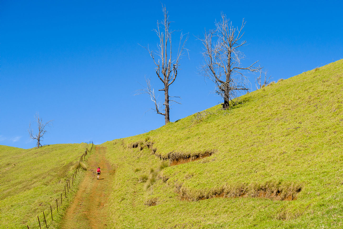 Trail to the top of the Pu’u Wa’awa’a cinder cone