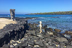 Vigilant gods gazing out to sea