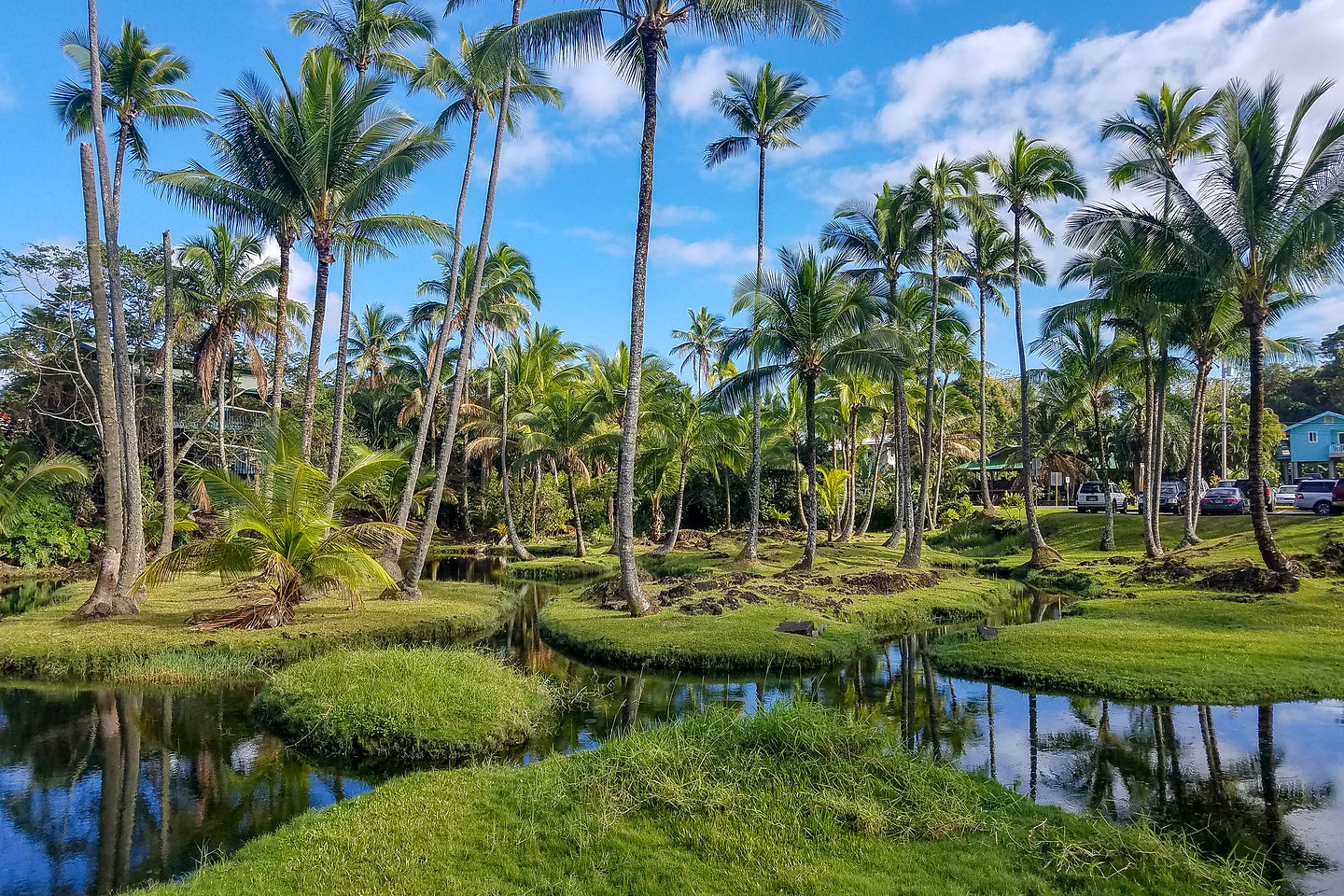 Richardson Beach Park in Hilo