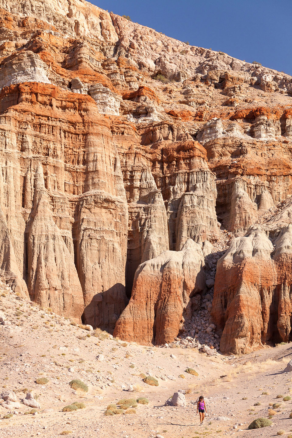 Little Lolo by The Red Cliffs of Red Rock Canyon