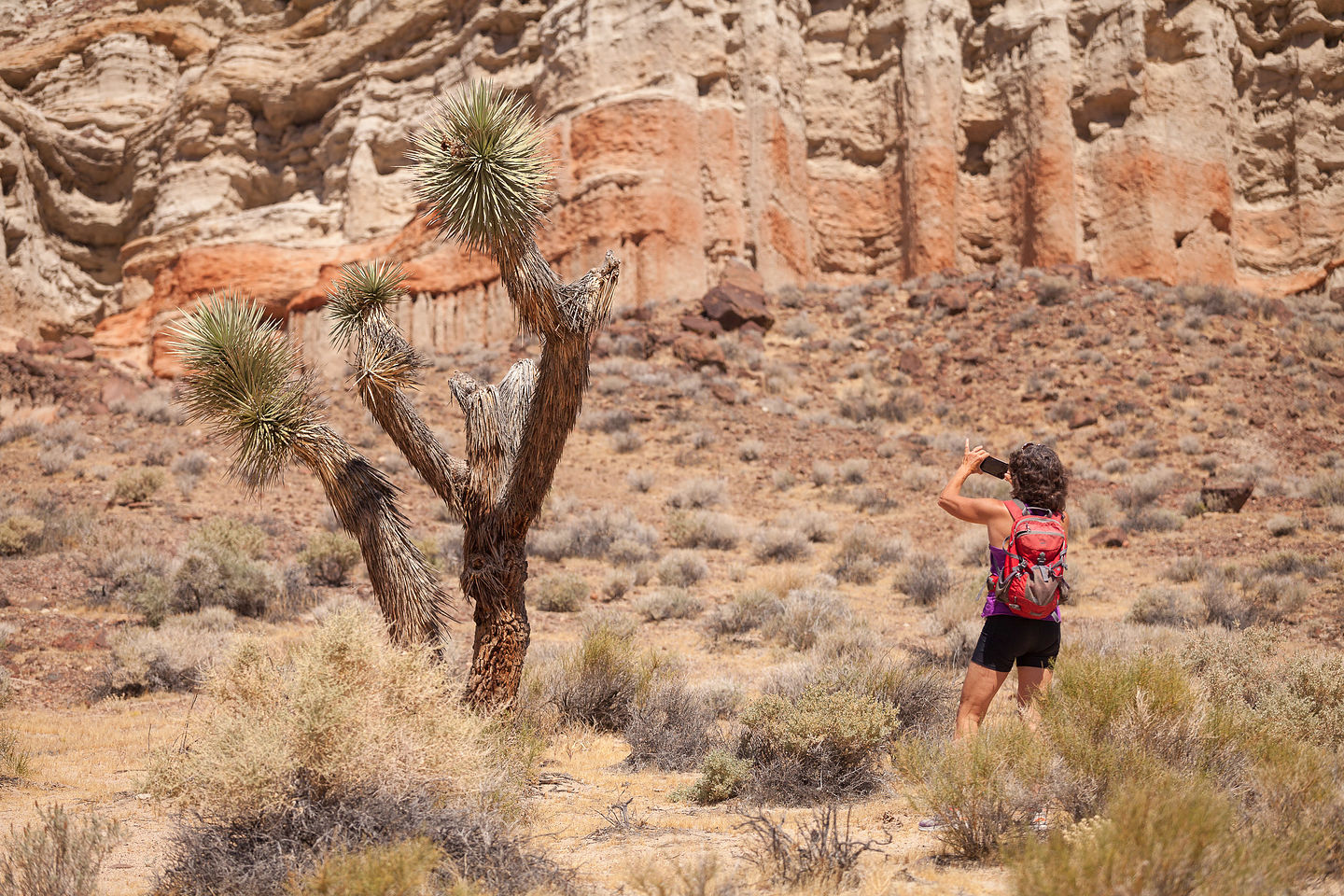 Hagan Canyon Trail