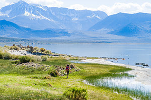 Lovely Mono Lake