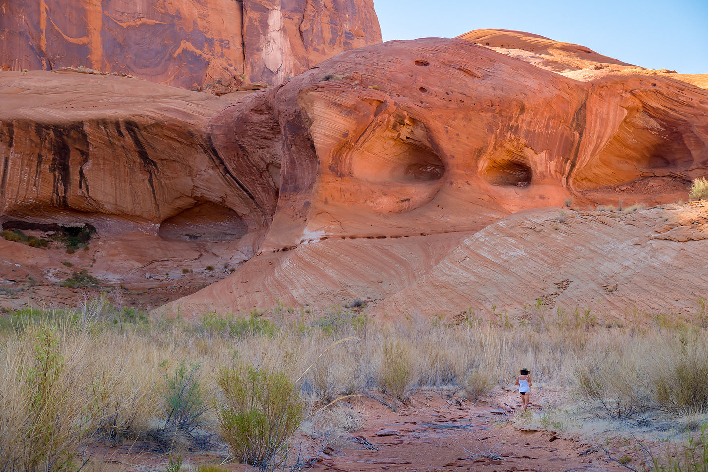 Lolo hiking near Chuckwalla Springs