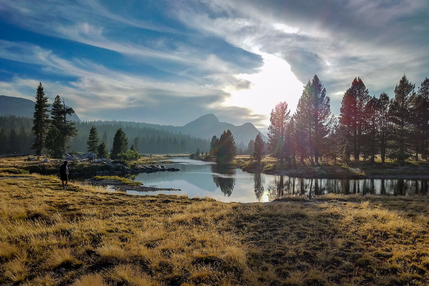 Lovely Tuolumne Meadows