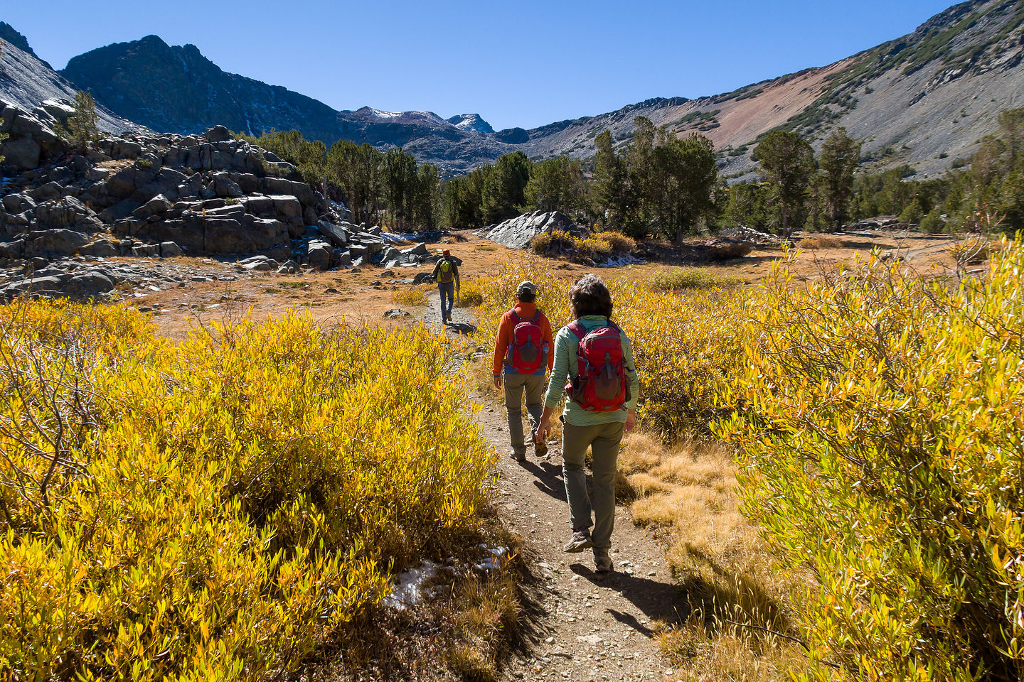 Virginia Lakes Trail