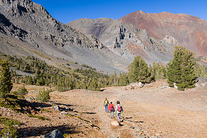 Virginia Lakes Trail