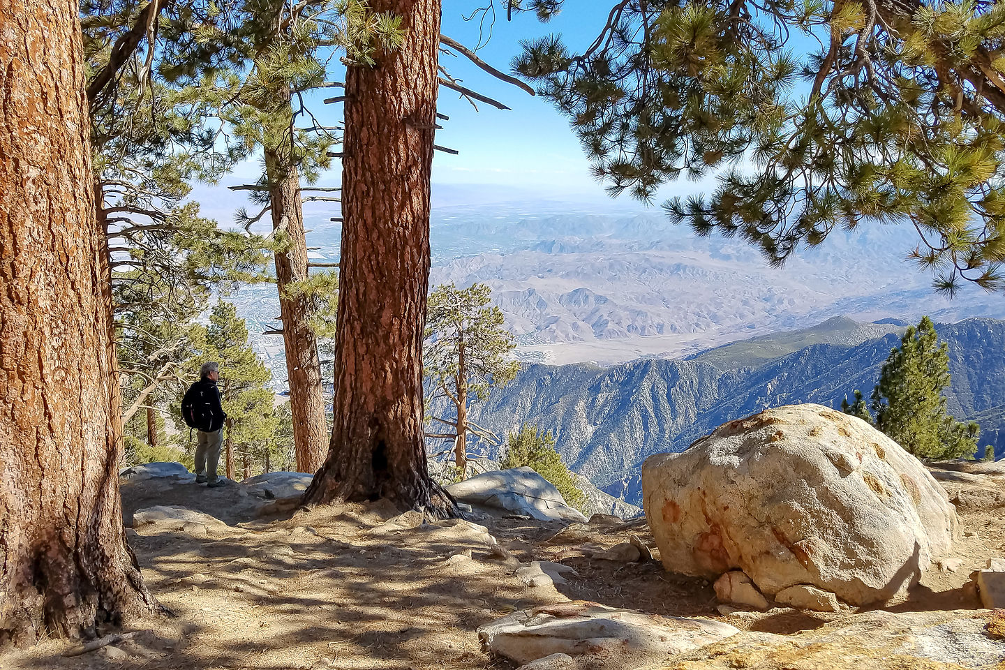 View from Desert View Trail