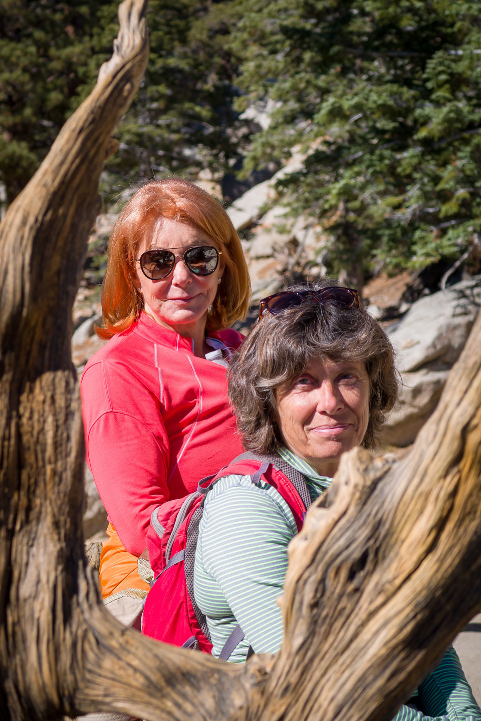 Desert View Trail