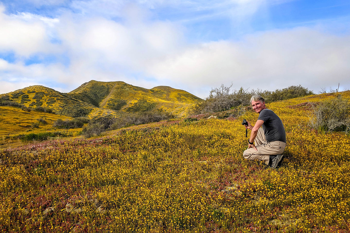 Stopping to photograph a wildflower bloom