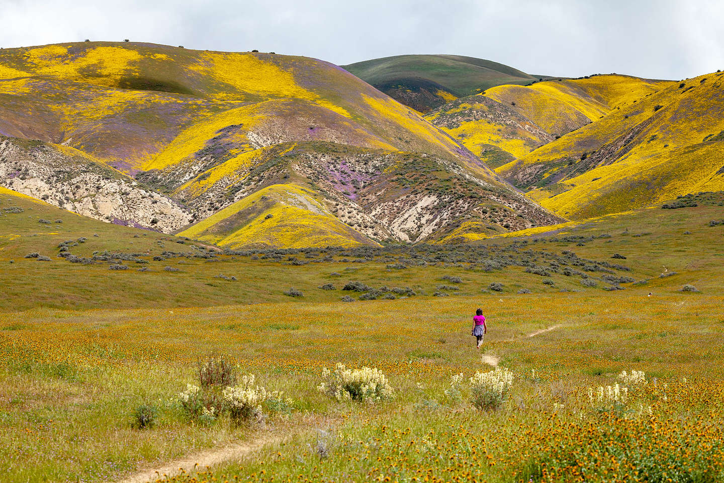 Wallace Creek Interpretive Trail