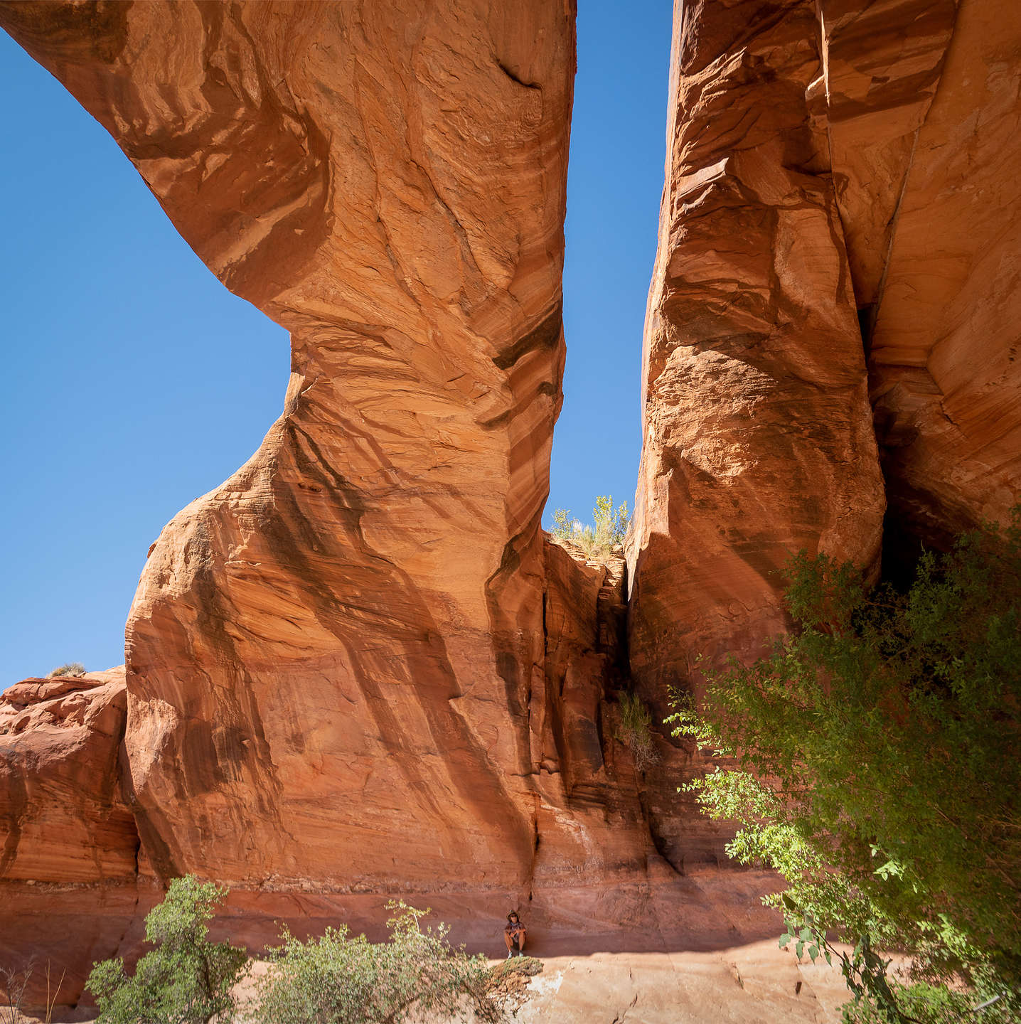 Tiny Lolo under Jack's Arch