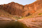 Our campsite in Chuckwalla Springs Cove